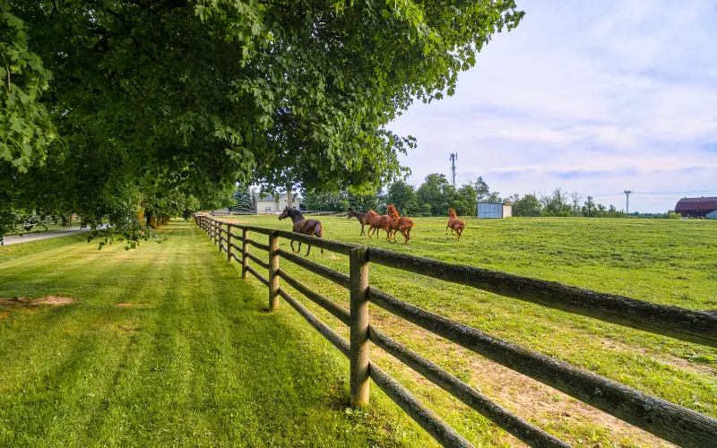 wooden-farm-fencing